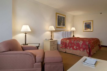 Hilton Palm Beach Airport - Room