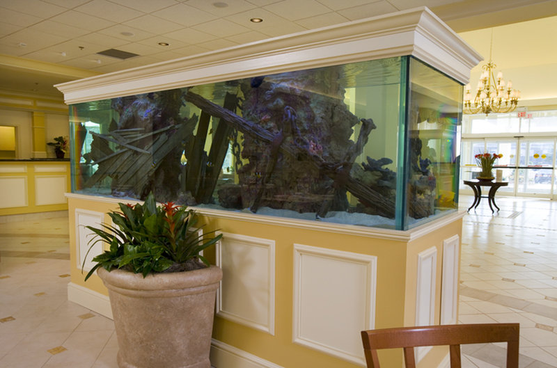 Hilton Garden Inn Outer Banks/Kitty Hawk - Kitty Hawk, NC