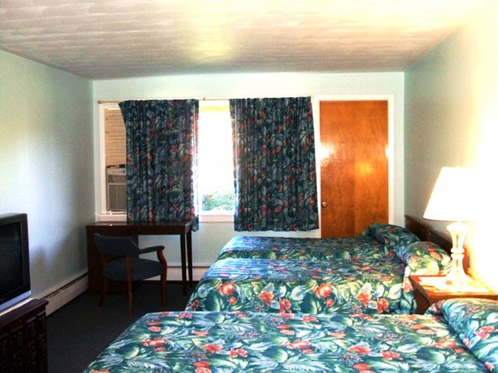 Vacation Inn Motel - Union Dale, PA