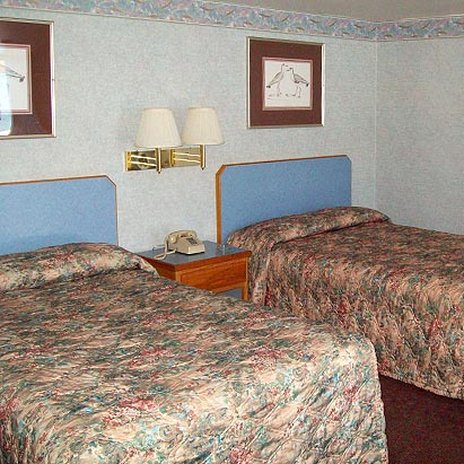 Blue Mist Motel - Florence, AZ