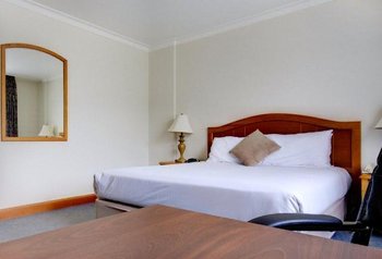 Diana Plaza Hotel - Room