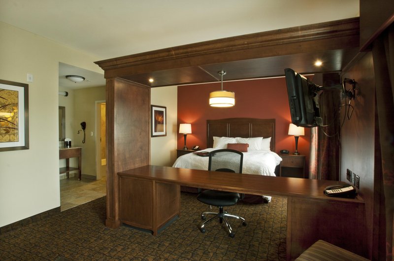 Hampton Inn & Suites McAllen - McAllen, TX