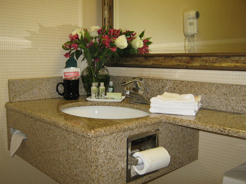 Holiday Inn Danbury-Bethel @ I-84 - Danbury, CT
