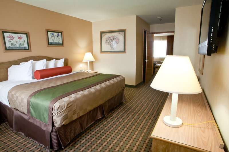 BEST WESTERN PLUS Edinburg Inn & Suites - Edinburg, TX
