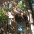 The Wicker Park Inn