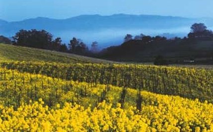 Silverado Resort & Spa - Napa, CA