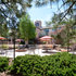 Best Western Plus Inn of Williams