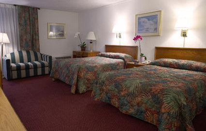 Orchid Inn