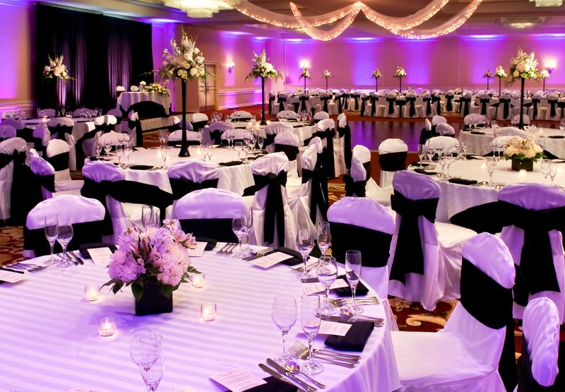 Springfield Marriott - Springfield, MA