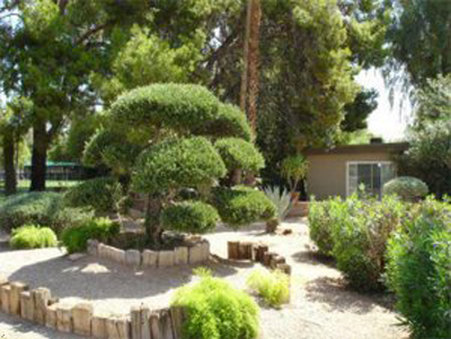Smoke Tree Resort and Bungalows - Paradise Valley, AZ