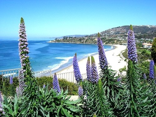 Dana Point Harbor Inn - Dana Point, CA