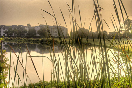 Sea Palms Resort and Conference Center - Saint Simons Island, GA