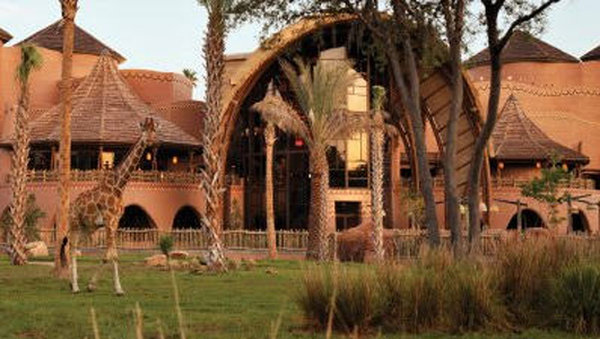 Disney's Animal Kingdom Lodge - Orlando, FL