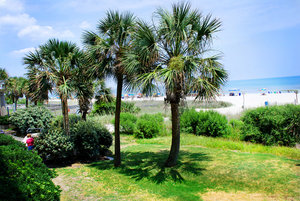 Sandcastle Oceanfront Resort Hotel Myrtle Beach