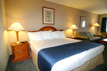 Best Western Main Street Inn - Room