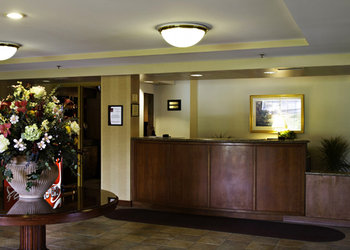 Comfort Suites BWI Airport - Lobby