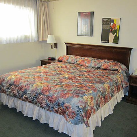 Hollywood Orchid Suites