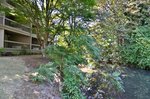 Best Western Greentree Inn, Eugene