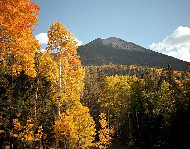 Doubletree By Hilton Hotel Flagstaff - Flagstaff, AZ