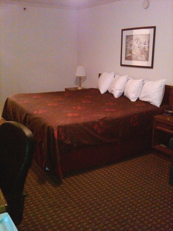 Best Western White Columns Inn - Thomson, GA