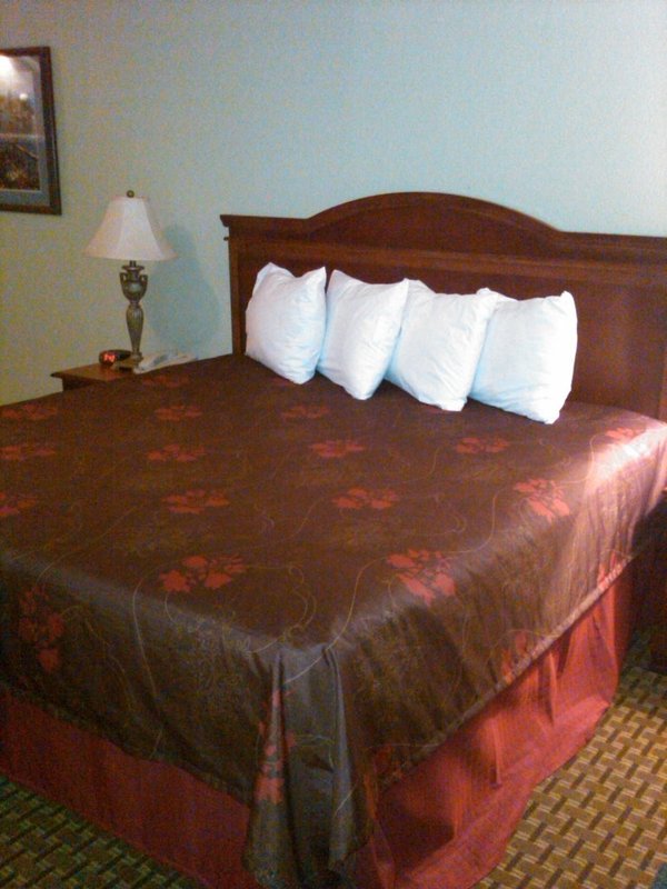 Best Western White Columns Inn - Thomson, GA