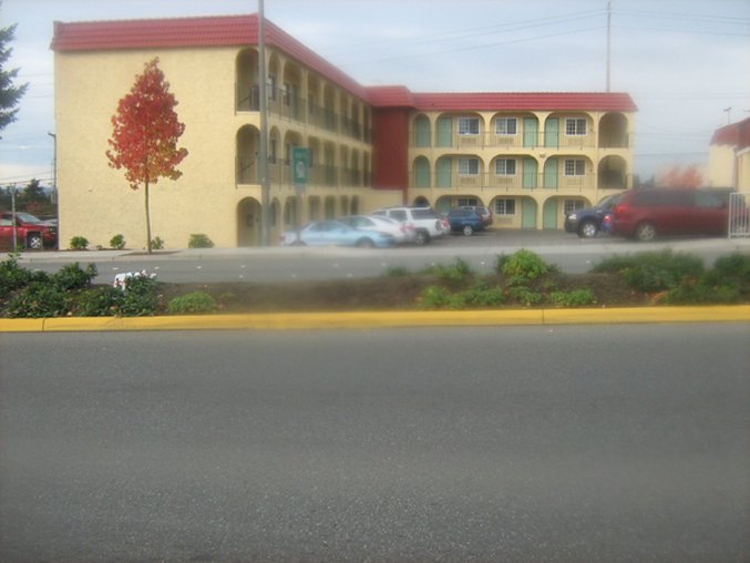Skyway Inn - Seatac