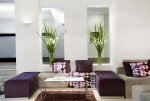 Rochester Concept Hotel