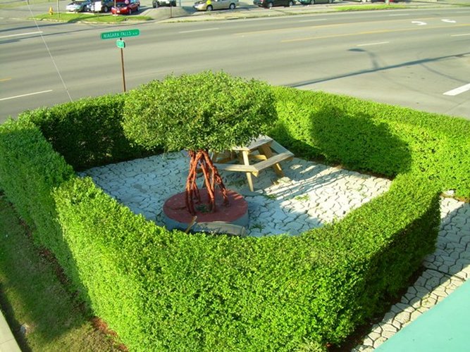 Swiss Cottage Inns - Niagara Falls, NY