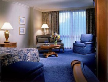 Paris Las Vegas - Room