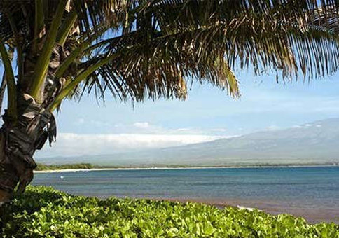 Island Sands Condominium - Wailuku, HI