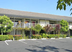 Alamo Inn