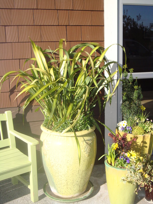 Best Western Plus - Gig Harbor, WA