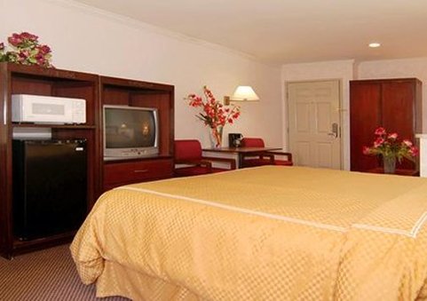 Comfort Suites San Clemente - San Clemente, CA