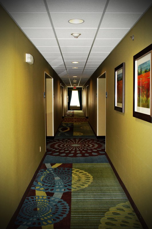 Holiday Inn Express-Lapeer - Clifford, MI