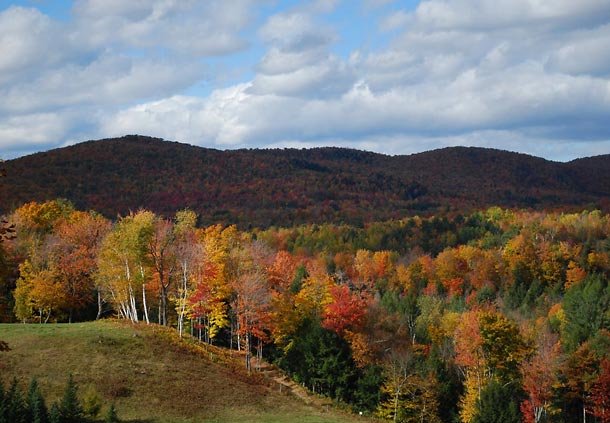 Fairfield Inn By Marriott Burlington Williston - Williston, VT