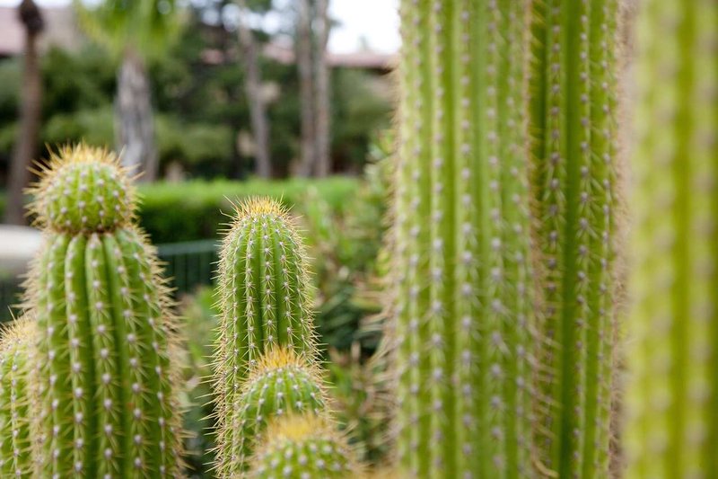 Embassy Suites By Hilton Phoenix North - Phoenix, AZ