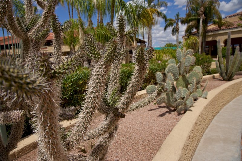 Embassy Suites By Hilton Phoenix North - Phoenix, AZ