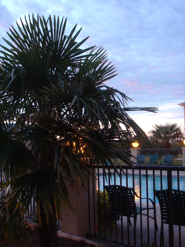 Best Western-White House Inn - Warm Springs, GA