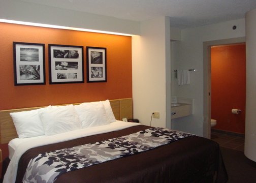 Sleep Inn - Dewitt, MI