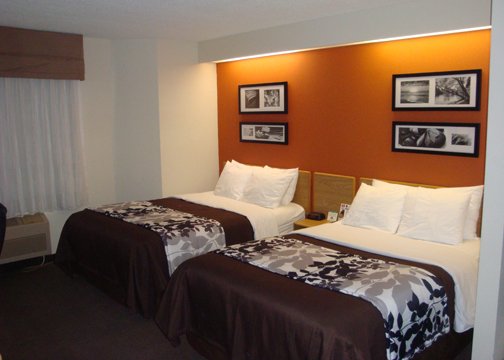 Sleep Inn - Dewitt, MI