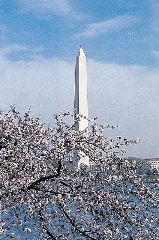Best Western Tysons Westpark - Mc Lean, VA