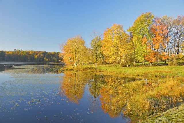 Doubletree - Laurel, MD