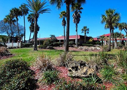 Motel 6 - Spring Hill, FL