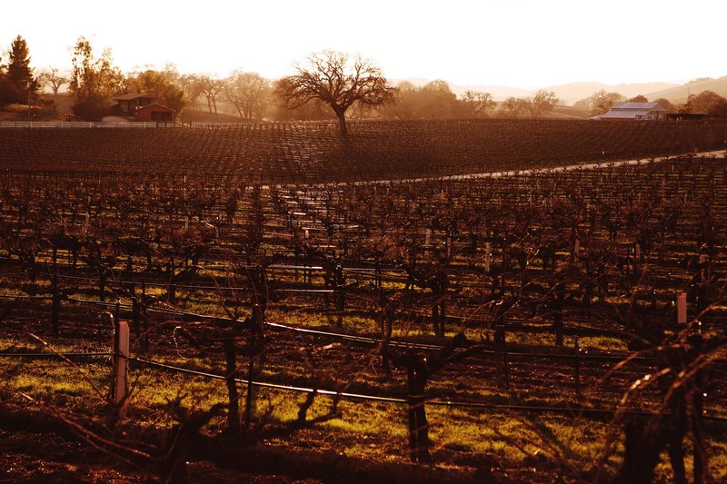 Hampton Inn Suites Paso Robles CA - Paso Robles, CA