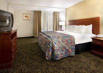 Comfort Inn & Suites - Room