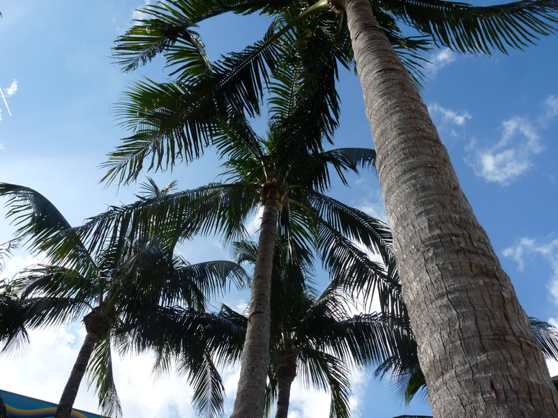 Best Western On The Bay Inn & Marina - Miami Beach, FL