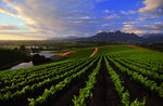 Protea Hotel Stellenbosch, Stellenbosch