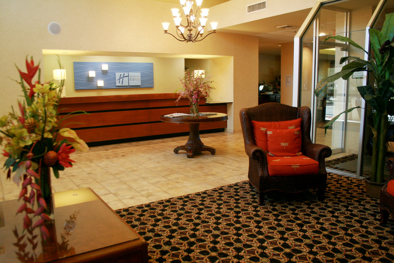 Holiday Inn Express & Suites TAMPA -USF-BUSCH GARDENS - Tampa, FL