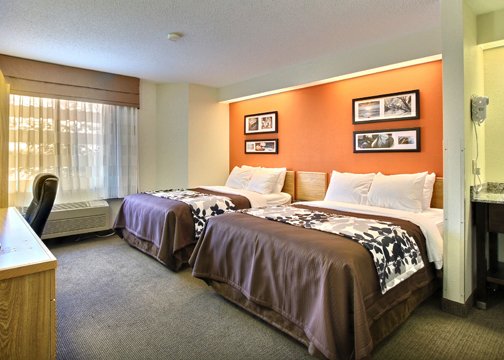 Sleep Inn - Dewitt, MI