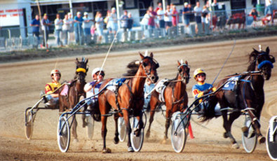 Best Western Delaware Inn